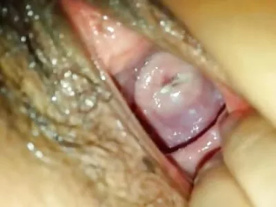 పెద్ద గాడిద ఆమె చిక్‌ను నొక్కుతుంది