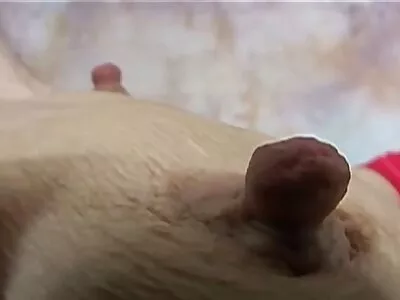 ఫ్యాట్ యొక్క ఉద్దేశ్యం దెబ్బతింది